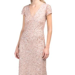 Adrianna Papell Long Beaded Dress in Blush Size 10